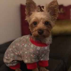 Meet your Posher, Sergio